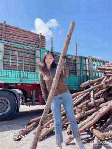 北京一小山村，興建一所新型自然大學(xué)校