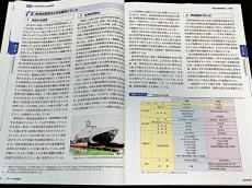 朱鳳蓮批日本“白皮書”向“臺獨”釋放錯誤信號