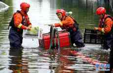 水困衛(wèi)輝城 排澇進(jìn)行中