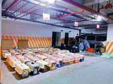 臺當局撲殺154只走私寵物貓 蔡英文臉書評論區(qū)“炸了”