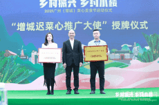 冬至后吃菜心！淘菜菜直采模式“保鮮保甜”