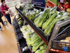 香港特區(qū)政府：由內(nèi)地進口香港鮮活食品供應穩(wěn)定