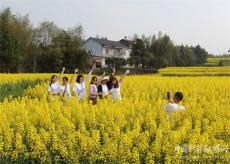 百里油菜花似海?助力百姓發(fā)“油財”
