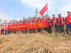 湖南武岡灣頭橋鎮(zhèn)開展義務(wù)植樹志愿服務(wù)活動(dòng)