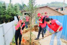 湖南移動(dòng)武岡公司開展義務(wù)植樹志愿者活動(dòng)