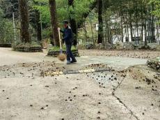 休寧縣鶴城鄉(xiāng)：鶴發(fā)守初心，力行踐使命，薪火代相傳！