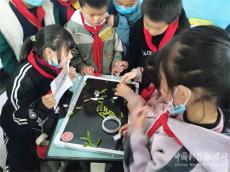 桐梓縣婁山關(guān)街道長崗逸夫小學(xué)社團(tuán)活動豐富多彩