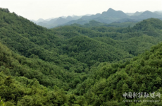 守護(hù)藥材“健康”，檔案出具“良方”