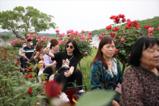 突破10萬！小長假旅游回暖，衡陽珠暉區(qū)迎來客流小高峰！