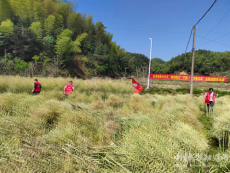 衡陽縣金溪鎮(zhèn)：人在深山心向黨，志愿路上顯真情