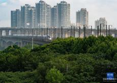 我國已有近3200公里高鐵常態(tài)化按時速350公里高標(biāo)運(yùn)營