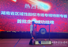 湖南首家區(qū)域性股權(quán)市場(chǎng)專(zhuān)精特新專(zhuān)板成功掛牌