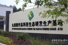 引來(lái)金鳳凰  楠竹變“金竹”——記湖南九通管業(yè)發(fā)展紀(jì)實(shí)