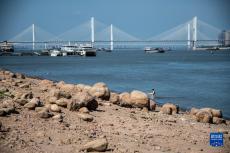 長江武漢段出現(xiàn)歷史同期最低水位