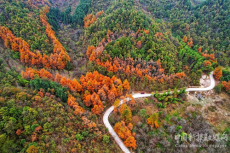 秋韻闌珊 醉美瑤鄉(xiāng)