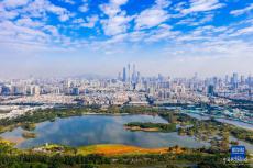 濕地之美丨廣州海珠濕地