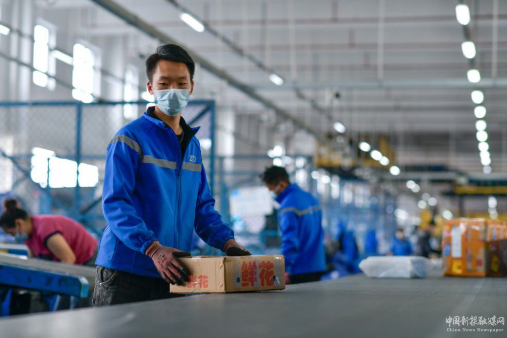 11月10日，工作人員在位于貴州省龍里縣的貴州快遞物流園一家快遞分撥中心分揀快遞。新華社記者 楊文斌 攝