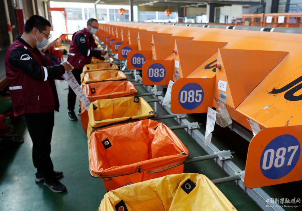 11月10日，圓通速遞浙江省樂清市分揀中心工作人員在忙碌。新華社發(fā)（蔡寬元 攝）