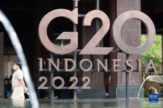 二十國集團領(lǐng)導(dǎo)人第十七次峰會即將舉行