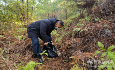 常寧市林業(yè)局放生國家二級保護動物猴面鷹