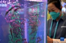 2022年中國（海南）國際熱帶農產品冬季交易會開幕