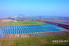 安徽廬江：蔬菜保供應