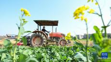 人勤春早勞作忙