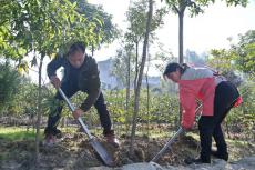 賀湘元：“弄花人”玩轉(zhuǎn)新“花樣”