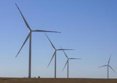 元首引領(lǐng)“中國+中亞五國”產(chǎn)業(yè)與投資合作論壇共謀發(fā)展