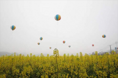 衡陽(yáng)縣四中參加湖南省油菜花節(jié)開(kāi)幕式演出活動(dòng)