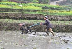 春意盎然農(nóng)事忙