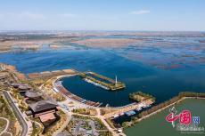 乘坐“公交”賞荷花 白洋淀“水上巴士”即將運(yùn)營