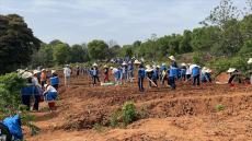 衡陽市第五技工學(xué)校：走進(jìn)農(nóng)間田地，感受農(nóng)耕文化