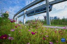 駛向未來(lái)！“光谷光子號(hào)”空軌建成試跑