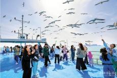 國臺辦：恢復(fù)臺旅團來大陸觀光