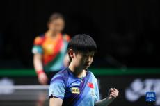 乒乓球——世乒賽：孫穎莎女單奪冠