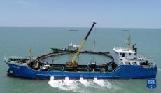 藍(lán)色牧場(chǎng)孕育致富“黃金魚”