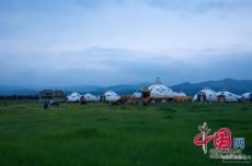 ?敕勒川草原煥新顏 生態(tài)“數(shù)智”變富民“藥方”