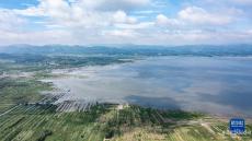 夏日草海景如畫