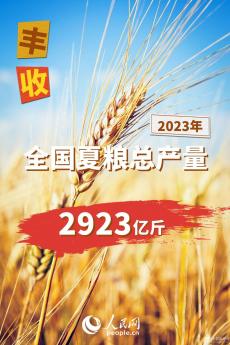 2023年全國夏糧總產(chǎn)量14613萬噸 實(shí)現(xiàn)豐收