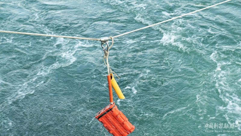 “海脈”入水瞬間。受訪者供圖