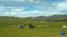 美麗中國(guó)丨羌塘草原景色美