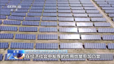 產(chǎn)品暢銷海外 刷新世界紀(jì)錄！我國光伏產(chǎn)業(yè)發(fā)展活力十足