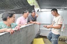 隆回縣麻塘山鄉(xiāng)尖山村石蛙養(yǎng)殖喜獲成功