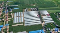 家庭農(nóng)場(chǎng)開(kāi)出致富花