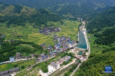 粵桂協(xié)作 助力鄉(xiāng)村振興