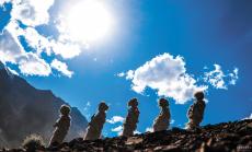 陸軍某團組織偵察兵專業(yè)演訓