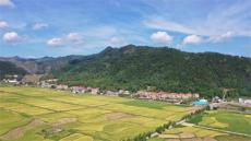 衡陽(yáng)縣庫(kù)宗橋鎮(zhèn)發(fā)揮鄉(xiāng)賢力量強(qiáng)化公共服務(wù)能力