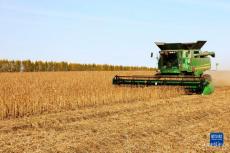 金秋時節(jié)農(nóng)事忙