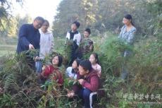 隆回高洲中學(xué)開展戶外植物認知體驗活動